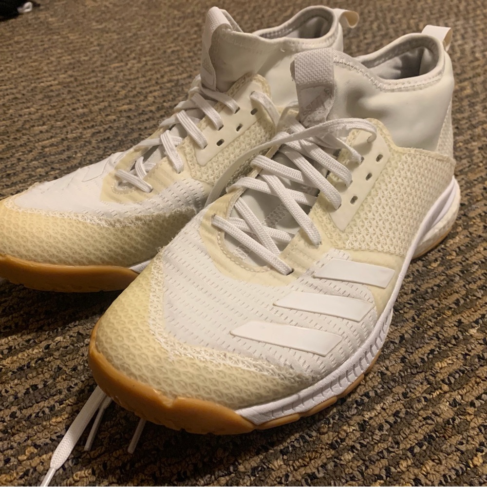 Volleyball Adidas White and Cream Shoes
